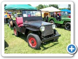 Great Willys Picnic 113